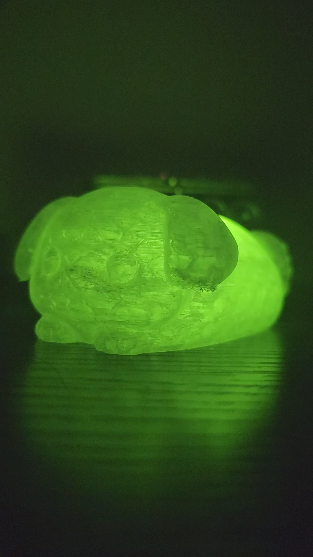 Pet Lights