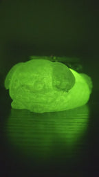 Pet Lights
