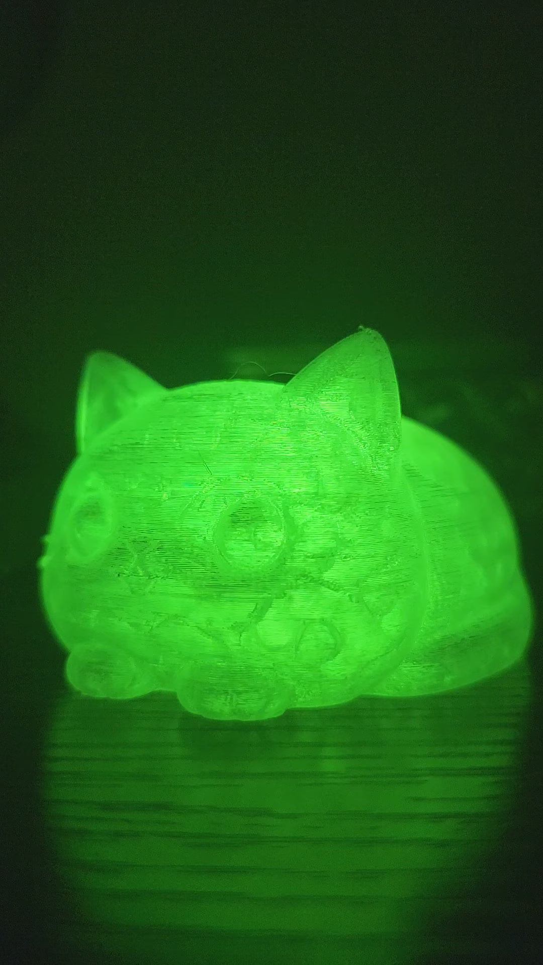 Pet Lights