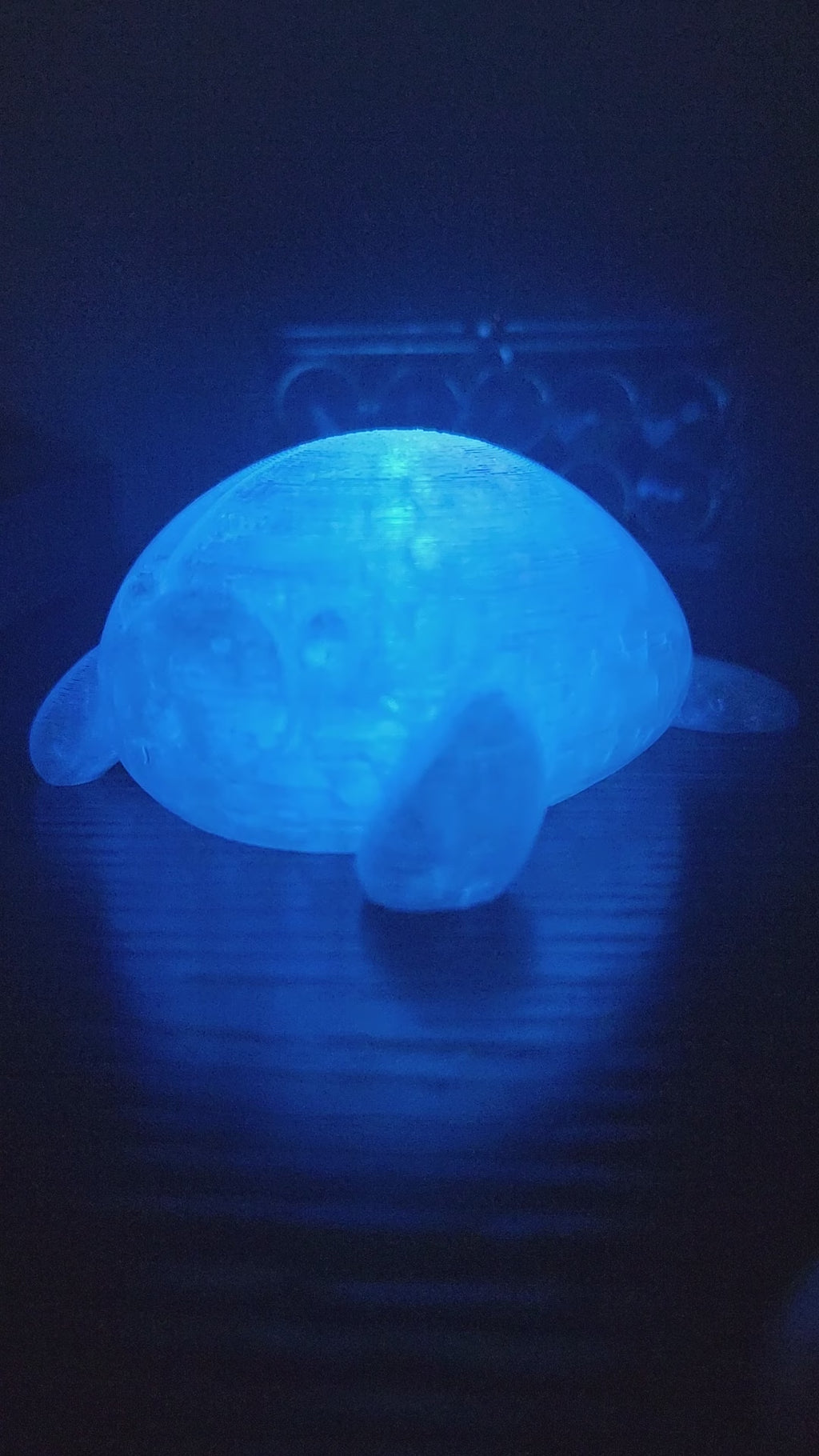 Pet Lights