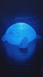 Pet Lights