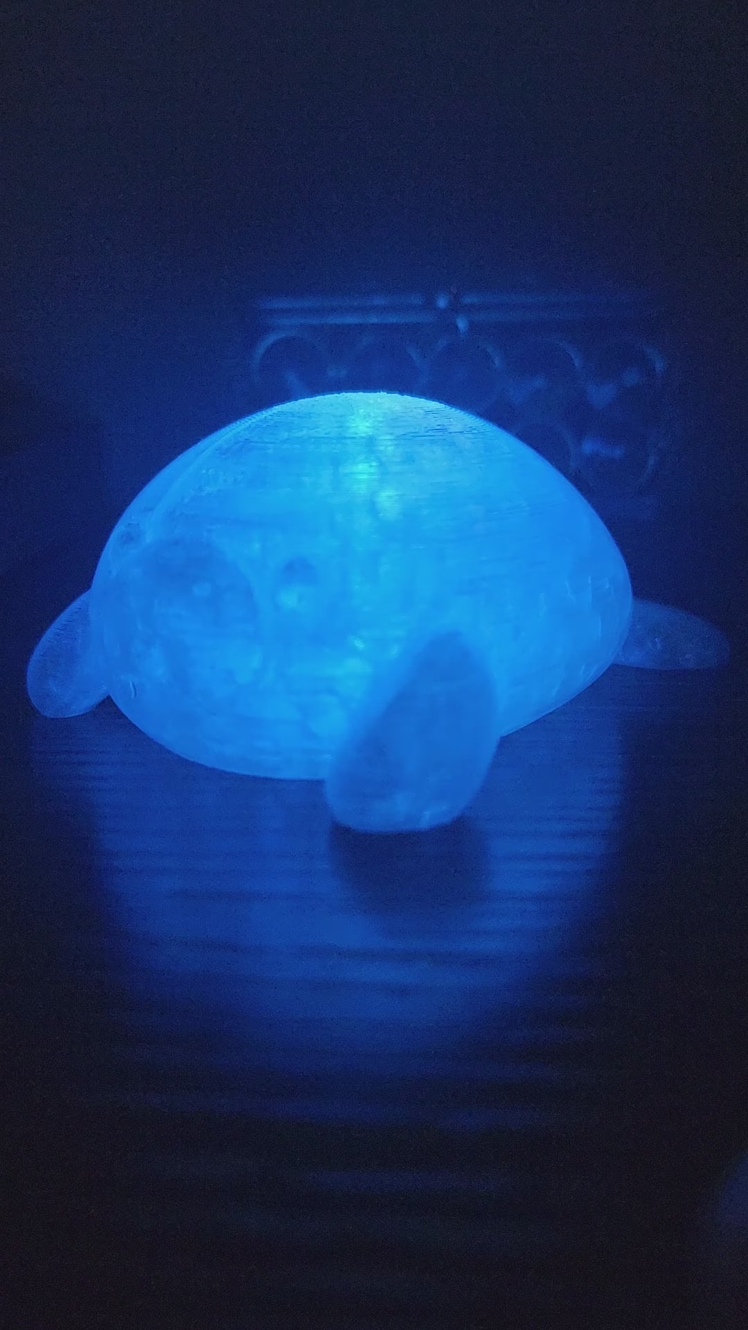 Pet Lights